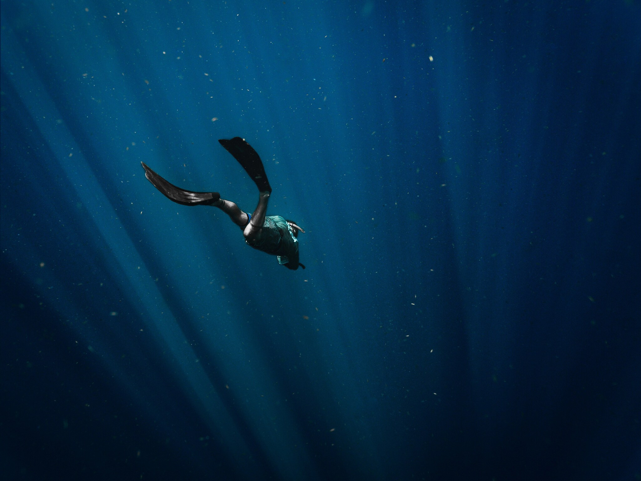 Buceador explorando los fondos marinos de Tarifa con vida marina y aguas cristalinas en el Estrecho de Gibraltar